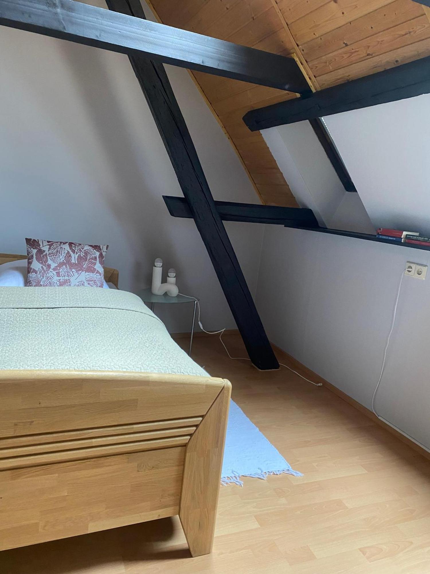 Ferienwohnung An Der Brigach 多瑙艾辛根 外观 照片