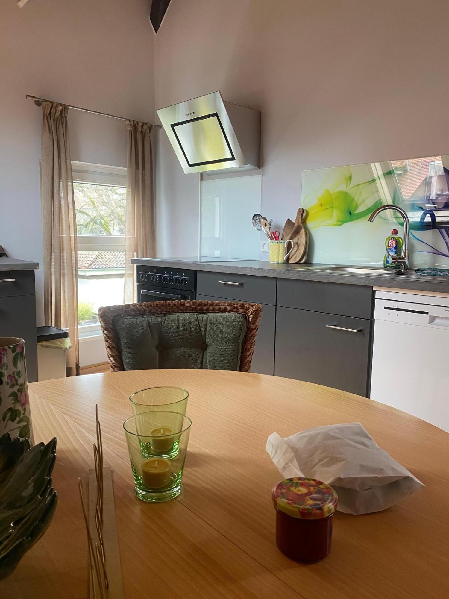 Ferienwohnung An Der Brigach 多瑙艾辛根 外观 照片