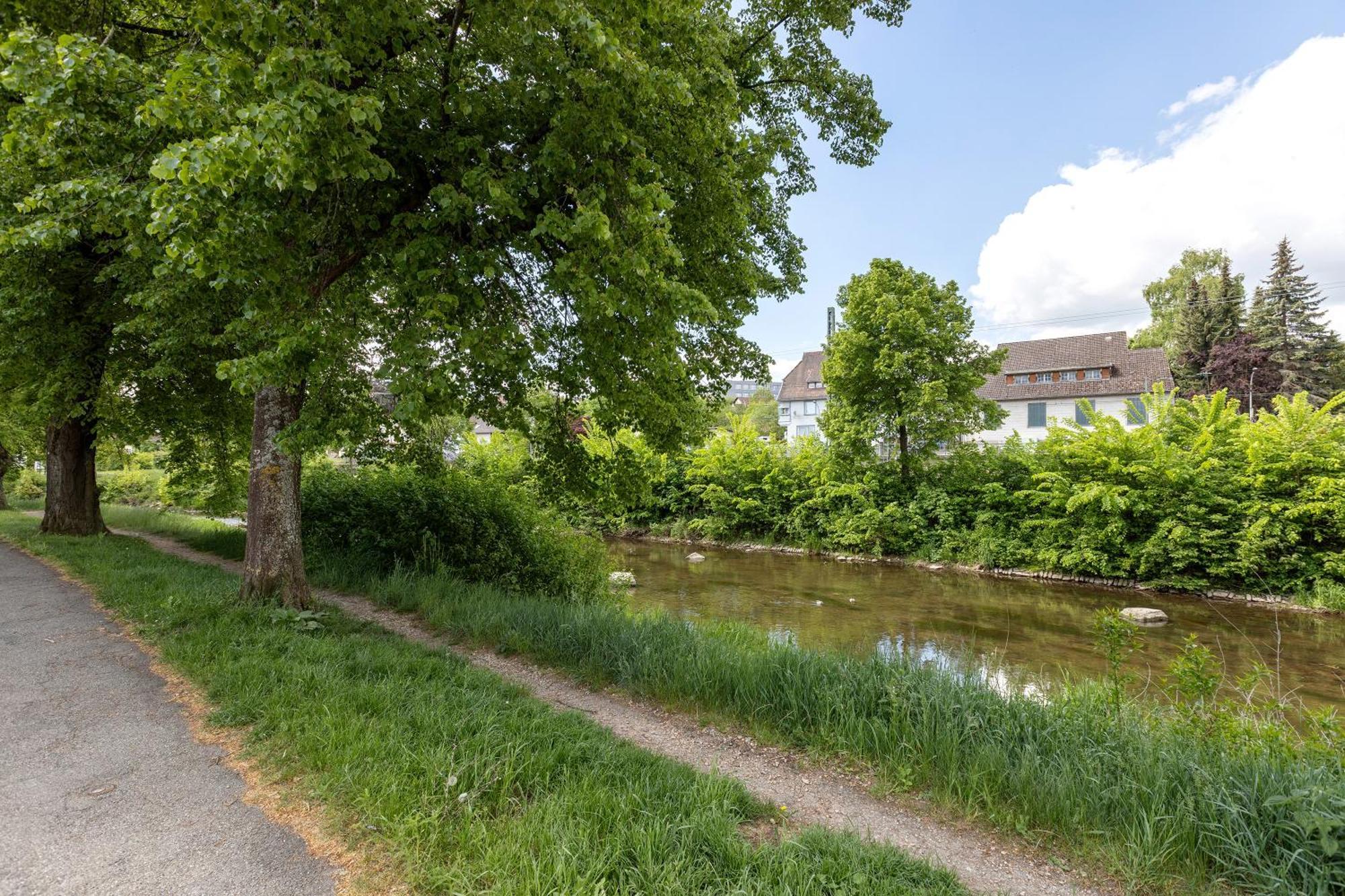 Ferienwohnung An Der Brigach 多瑙艾辛根 外观 照片