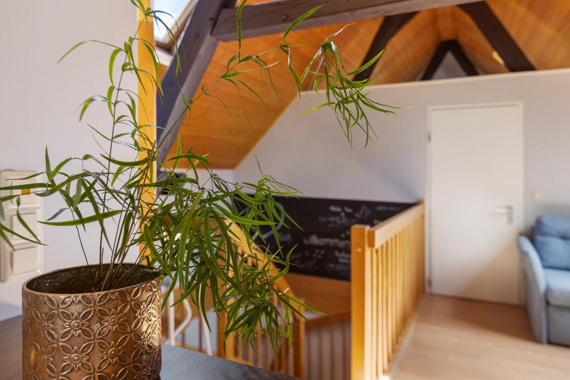Ferienwohnung An Der Brigach 多瑙艾辛根 外观 照片